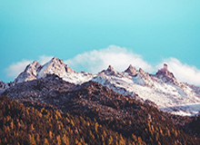 世界杯高清播放平台-中国队赢得女足亚洲杯小组赛开门红